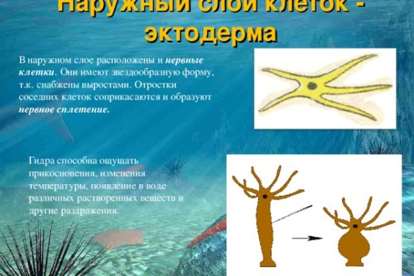 Кракен маркетплейс скачать
