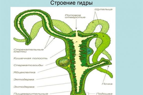 Кракен войти