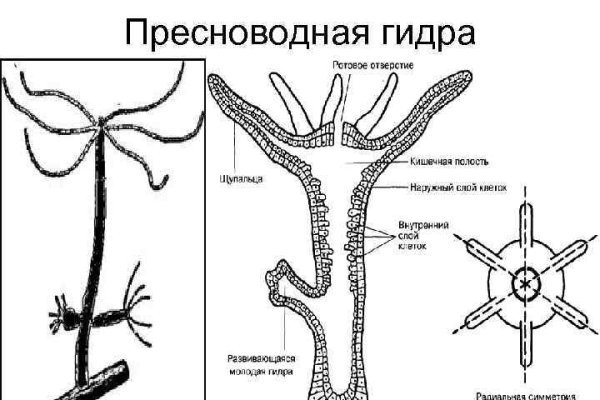 Кракен вход магазин kraken17ate pro