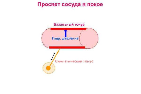 Кракен это современный даркнет маркетплейс